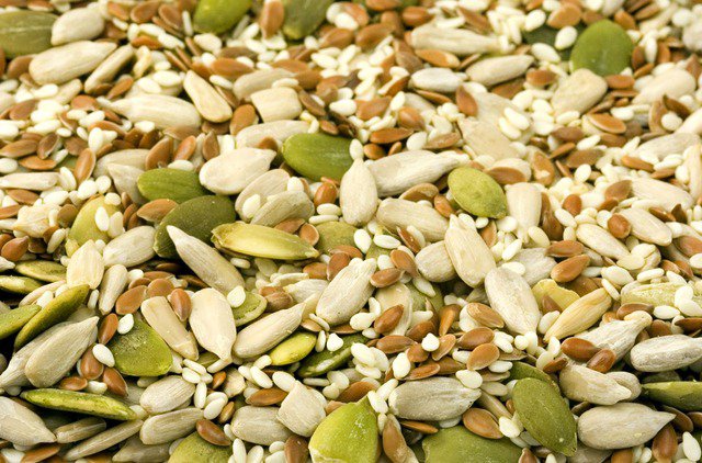 pumpkin seed