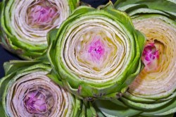 cut artichoke
