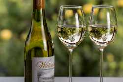 Dry White Wine Types, Best Brands, Features, and Foods to Pair With